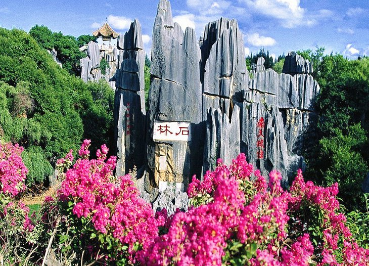 LPL职业联赛观赛团(图2)
