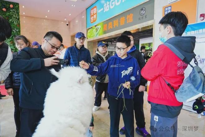 深圳中部又一波大浪来了！一口气打造4座“城”发布31个新地标(图4)