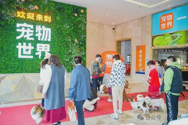 深圳中部又一波大浪来了！一口气打造4座“城”发布31个新地标(图3)