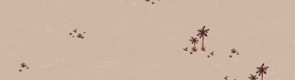 全网公认最好玩的卡牌对战游戏Top10推荐(图3)