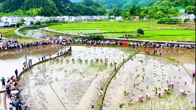 【山水好时光 周末到安康】安康周末游玩攻略来了！（6月4日-10日）(图16)