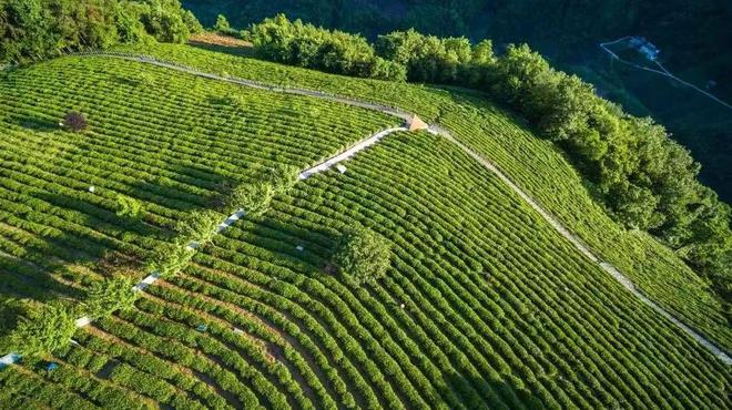 【山水好时光 周末到安康】安康周末游玩攻略来了！（6月4日-10日）(图13)