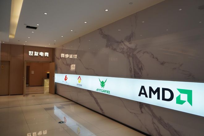 2025TGA无畏契约ANTGAMER全国挑战赛 联盟赛道——世友电竞(图2)