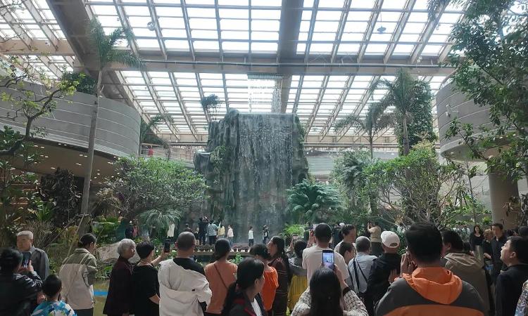 三天圈粉十万游客济南文旅“新顶流”诞生_大众网(图6)