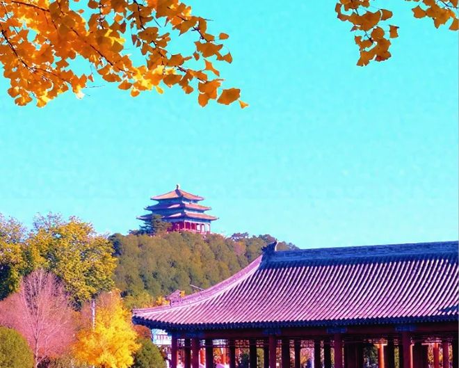 北京靠谱旅行社怎么挑？ 口碑TOP10旅行社测评解锁优质旅游体验