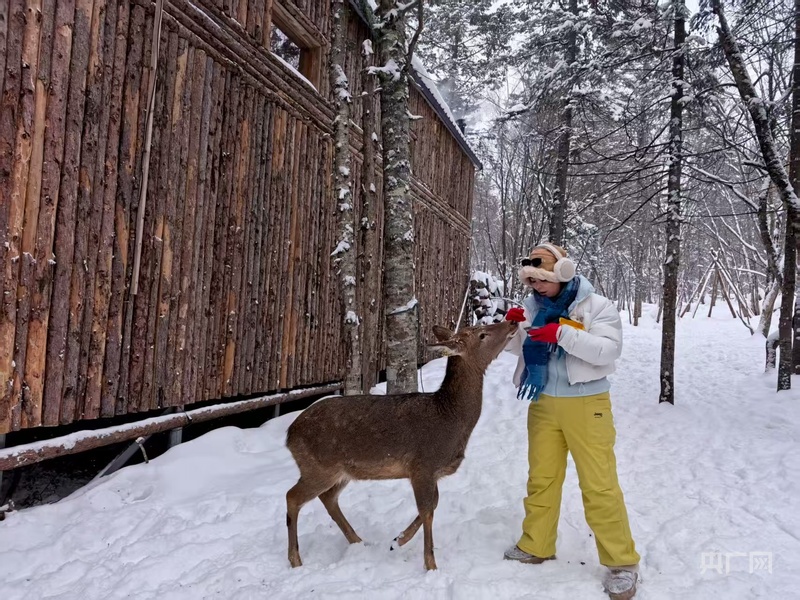 冰雪微笑曲线｜“冰雪+”点亮消费新图景 “冷资源”持续撬动“热经济”