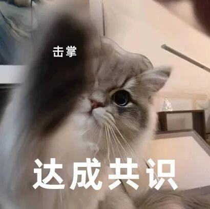 和平精英玩得挺大(图5)