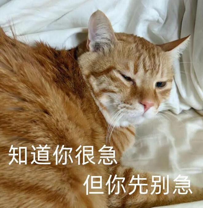 和平精英玩得挺大(图4)