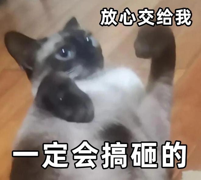 和平精英玩得挺大(图6)