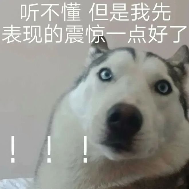 和平精英玩得挺大(图7)