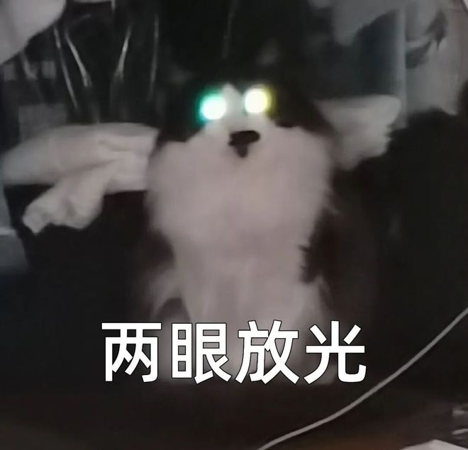 和平精英玩得挺大(图8)