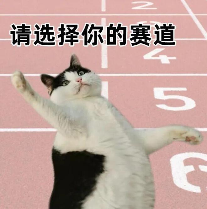 和平精英玩得挺大(图9)