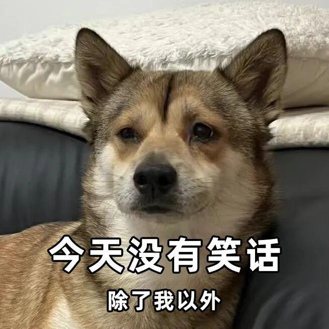 和平精英玩得挺大(图10)