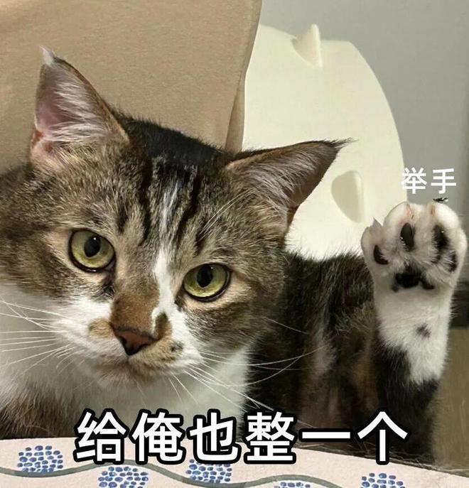 和平精英玩得挺大(图14)