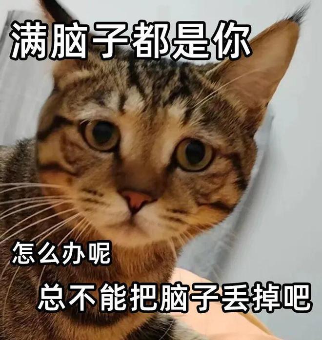 和平精英玩得挺大(图11)