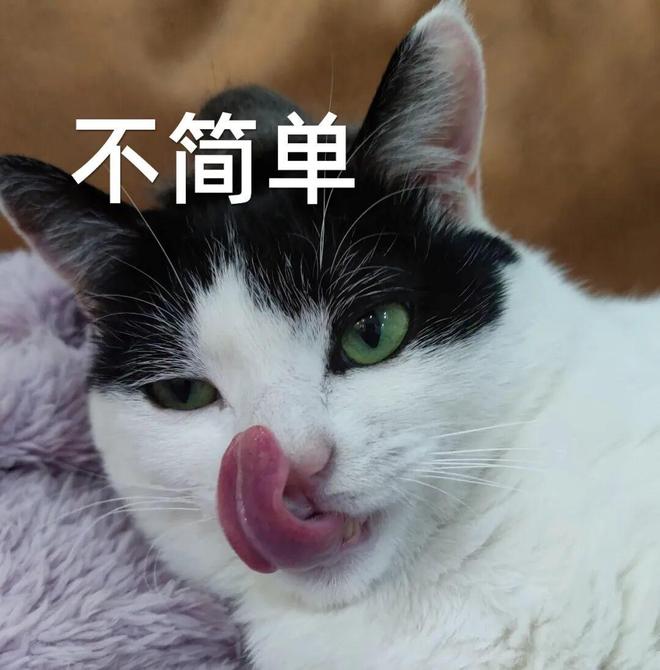 和平精英玩得挺大(图15)