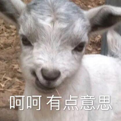 和平精英玩得挺大(图17)