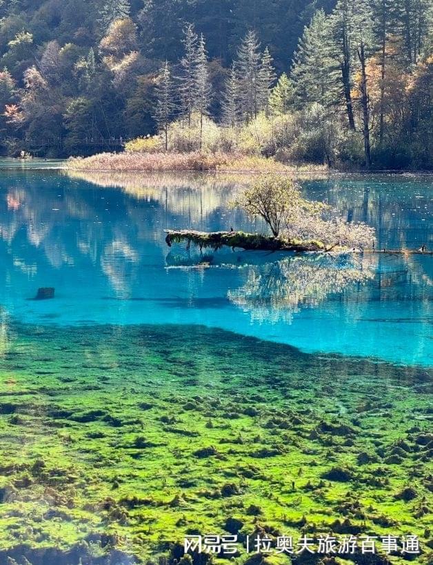 四川旅游5天4晚双飞跟团游四川纯玩小团游费用介绍必收藏