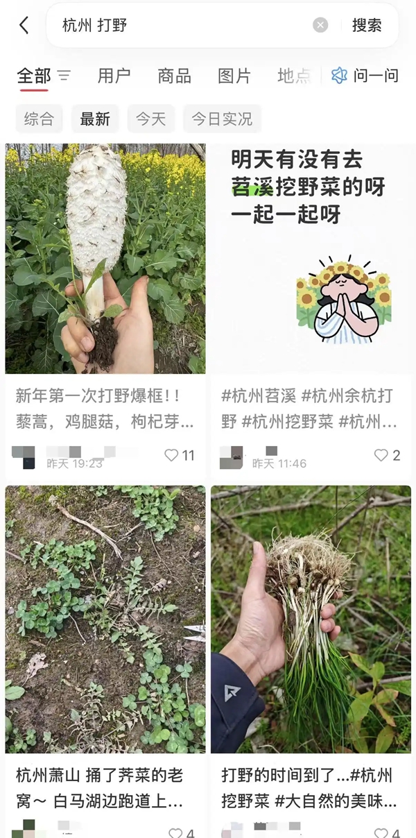 春天流行“打野”？这届年轻人找到了新的“精神快充”_大众网(图2)