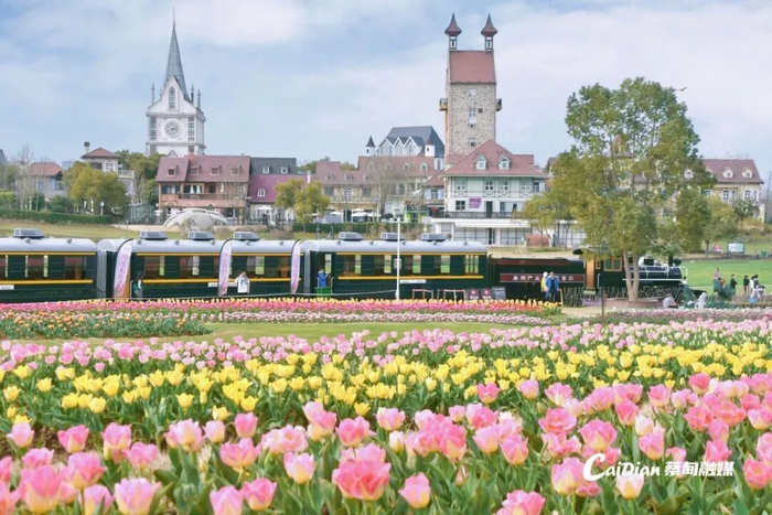 解锁新场景、引入新智慧、签约新项目 蔡甸2026年文化旅游消费季暨“文化旅游提升年”正式启动(图4)