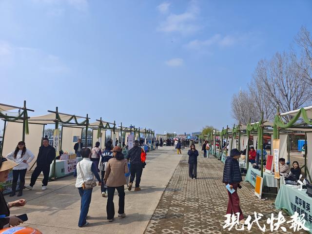 送上春日旅游邀请函！2026苏州国际旅游年·苏州春天季启幕(图3)