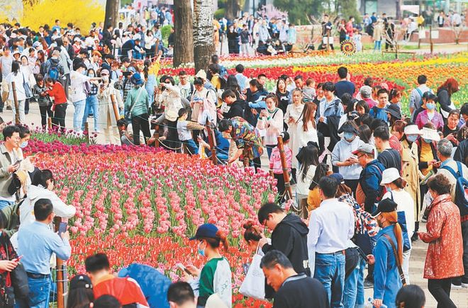 2026北京暑期旅游社靠谱推荐文旅权威严选助力游客畅享优质旅途(图5)