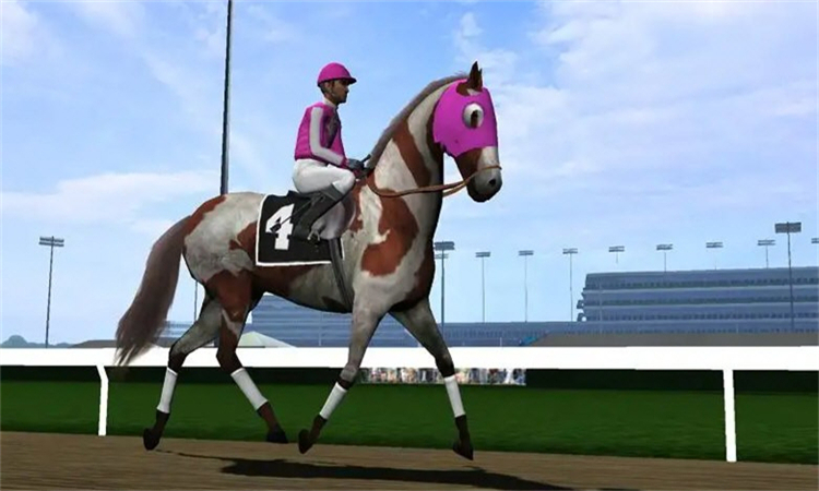 赛马赢得杯赛挑战