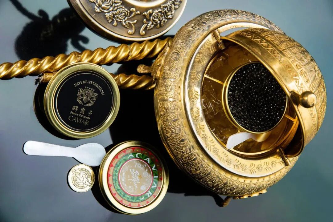 五个故事看见“十五五”(图9)