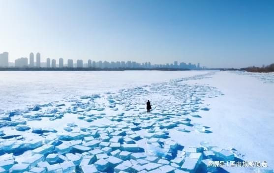 哈尔滨旅行社口碑权威汇总 2026 北国冰城旅游选对家尽兴游(图2)